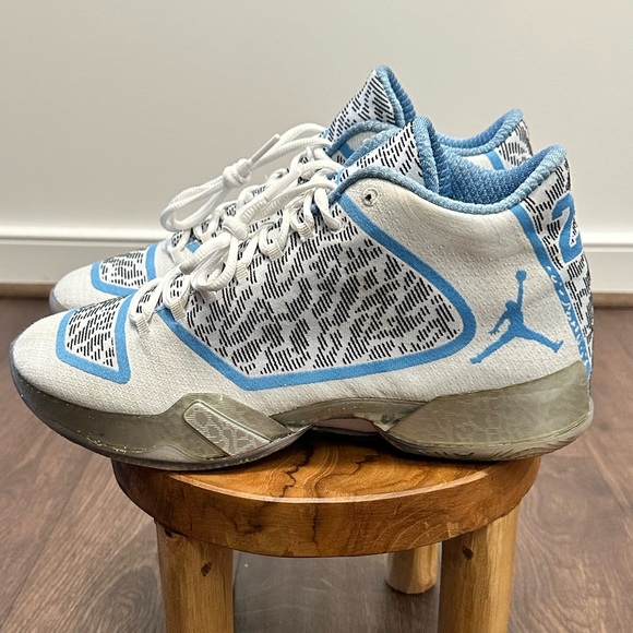 Nike Air Jordan 29 Pantone Silver White (717796-108) Size 11.5